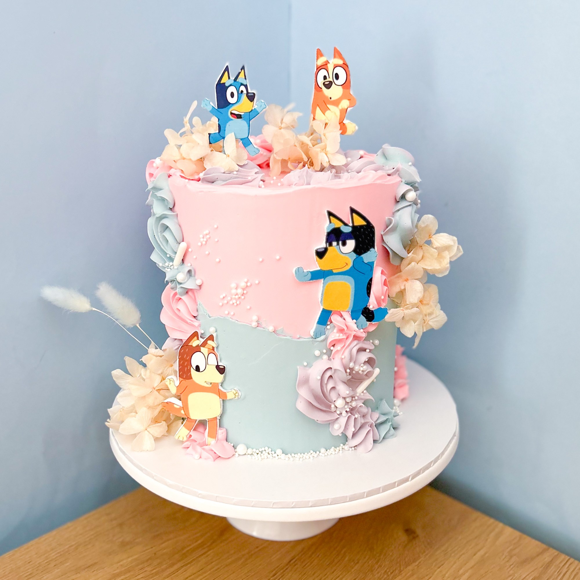 Bluey pastel birthday cake for kids party